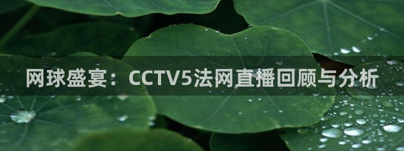 雨燕nba免费高清直播