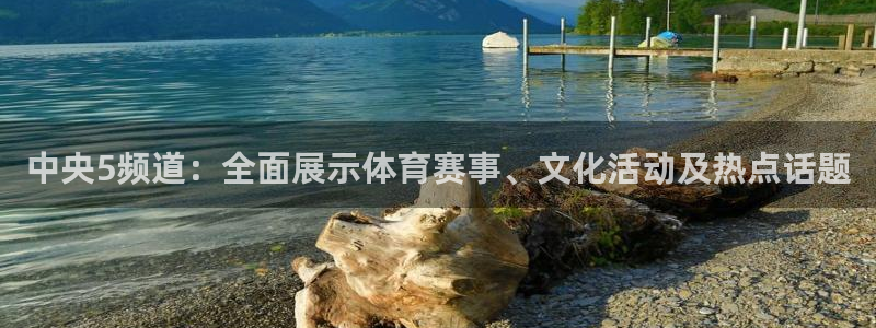 雨燕看球直播app