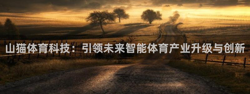 雨燕足球比赛直播平台