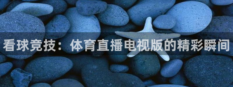 免费雨燕体育直播在线看