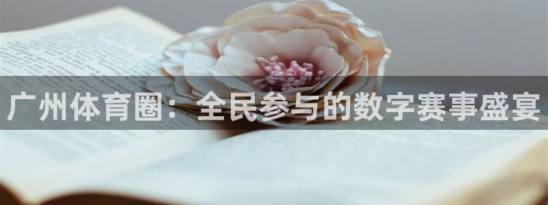 360足球直播视频雨燕直播