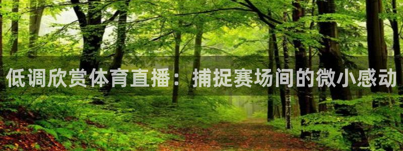 nba直播免费观看直播在线雨燕直播