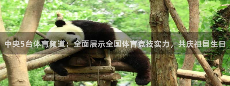 雨燕比赛直播平台