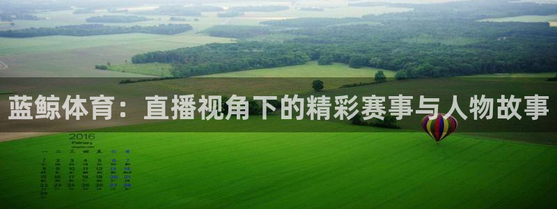 nba直播免费观看雨燕