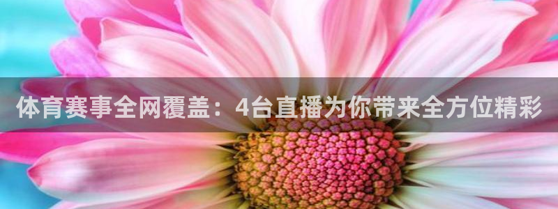 雨燕体育直播360