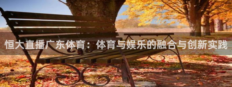体育雨燕直播：恒大直播广东体育：体育与娱乐的融合与创新实践