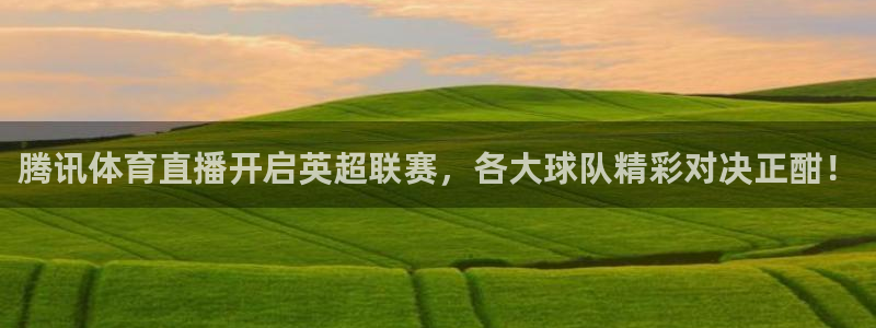 雨燕直播足球在线：腾讯体育直播开启英超联赛，各大球队精彩对决正酣！