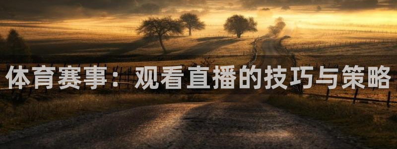 雨燕体育免费直播nba