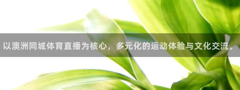 雨燕360体育赛事直播：以澳洲同城体育直播为核心，多元化的运动体验与文化交流。