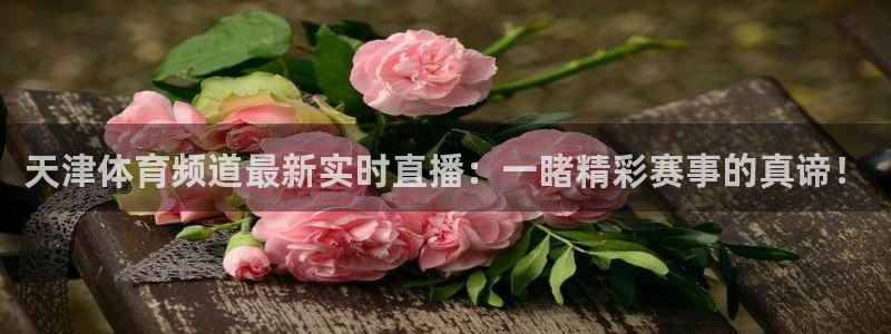 雨燕篮球直播在线直播：天津体育频道最新实时直播：一睹精彩赛事的真谛！
